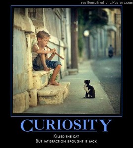 curiosity-cat-satisfaction-best-demotivational-posters