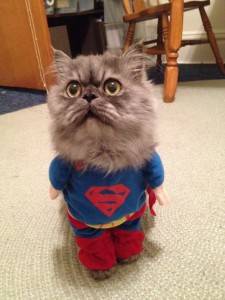 SuperCat-632x842