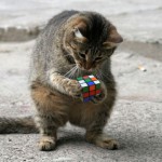 cat-cubic-rubik