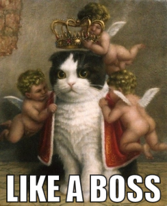 king-cat-boss